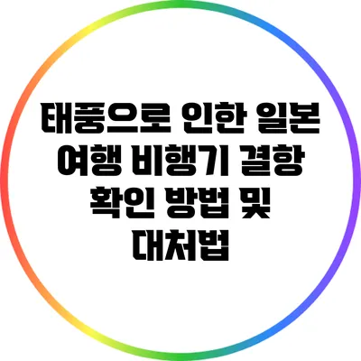 태풍으로 인한 일본 여행 비행기 결항 확인 방법 및 대처법