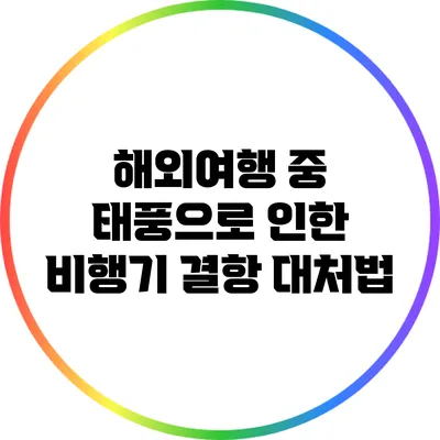 해외여행 중 태풍으로 인한 비행기 결항 대처법