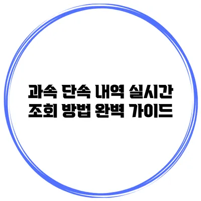 과속 단속 내역 실시간 조회 방법 완벽 가이드