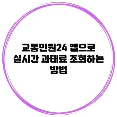 교통민원24 앱으로 실시간 과태료 조회하는 방법
