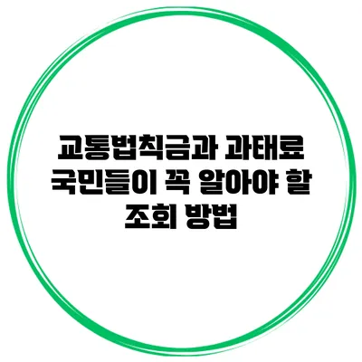 교통법칙금과 과태료: 국민들이 꼭 알아야 할 조회 방법