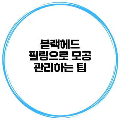 블랙헤드 필링으로 모공 관리하는 팁