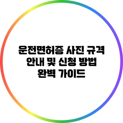 운전면허증 사진 규격 안내 및 신청 방법 완벽 가이드