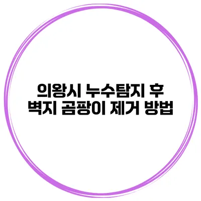 의왕시 누수탐지 후 벽지 곰팡이 제거 방법