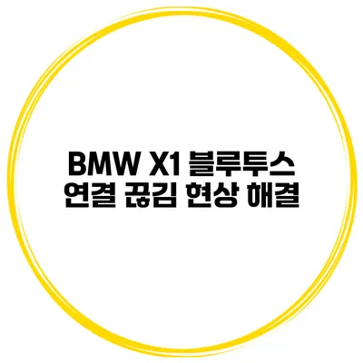 BMW X1 블루투스 연결 끊김 현상 해결