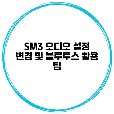 SM3 오디오 설정 변경 및 블루투스 활용 팁