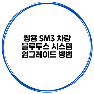 쌍용 SM3 차량 블루투스 시스템 업그레이드 방법
